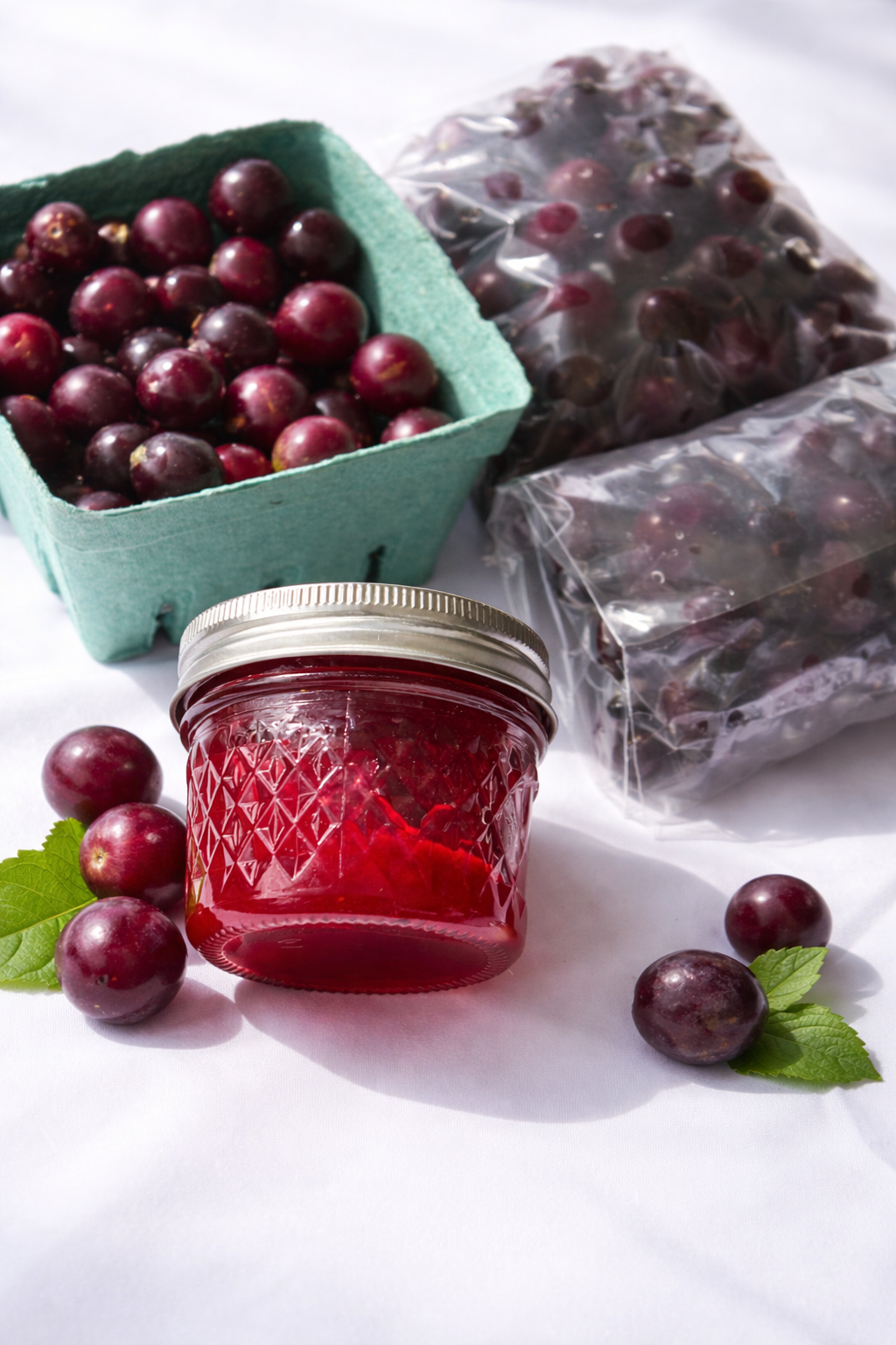 Organic Muscadine Grape Jelly